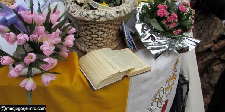 Don Damir Stojić: Ispravno čitanje svetog Pisma