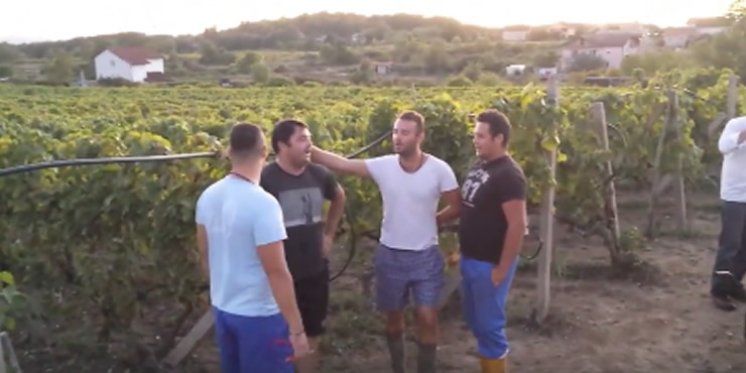 Međugorskim vinogradima ore se vinske pjesme