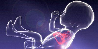 Novo znanstveno otkriće: Revolucionarne snimke srca nerođene bebe