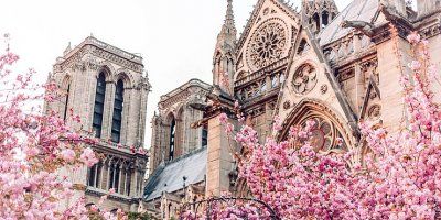 Papa: Neka katedrala Notre Dame ponovno bude znak vjere