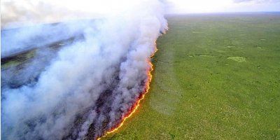 Gore „Pluća svijeta“: Amazona nestaje u plamenu