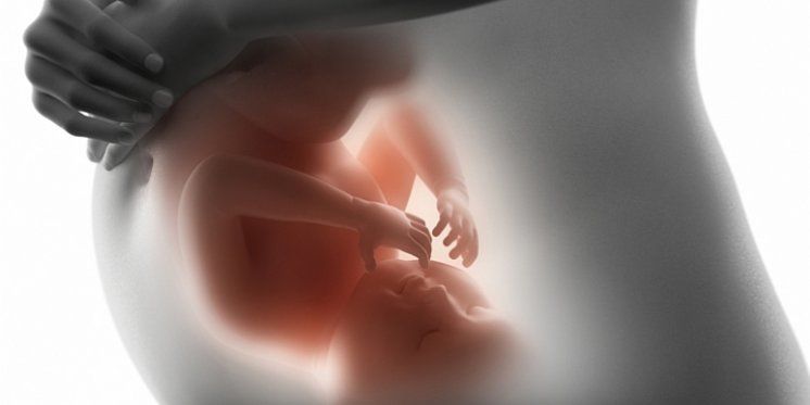 32 države predvođene SAD-om potpisale povijesnu deklaraciju: ‘Vlade imaju suvereno pravo zakonom zaštiti nerođeni život’