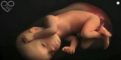 ŽIVOT- DAR BOŽJI: 9 mjeseci trudnoće u samo 4 minute! (VIDEO)