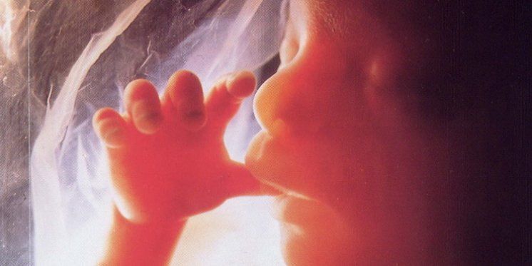 LA COMMOVENTE CONFESSIONE DELL&#039;ABORTO NELLA 19. SETTIMANA DI GRAVIDANZA