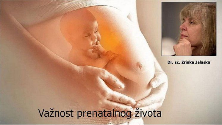 Dr. sc. Zrinka Jelaska: Važnost prenatalnog života!