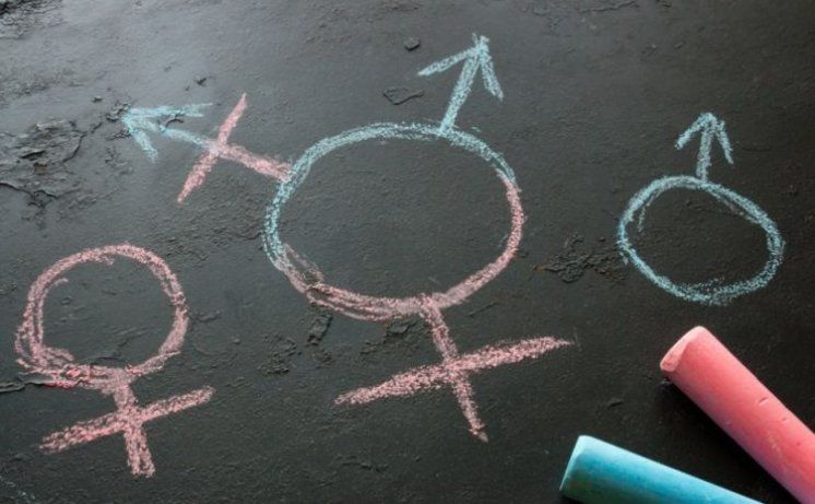 Roditelji podigli tužbu protiv školskog osoblja koje je nagovaralo njihovu djecu na transrodnost