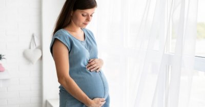 Što je “fetalni mikrokimerizam”?
