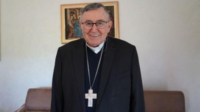 Puljić: Mladi na Thompsonovim koncertima pokazuju plemenitost koja nadmašuje kritike