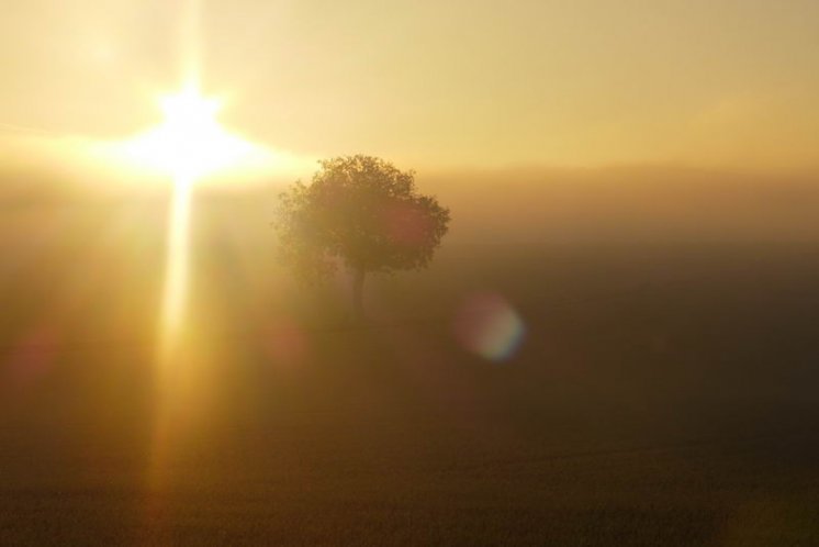 Evanđelje dana, 16.03.2026.