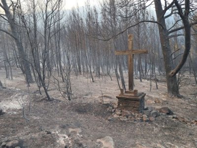 FOTOGRAFIJA S POŽARIŠTA NA KORČULI: Šuma je izgorjela, a križ ostao netaknut!